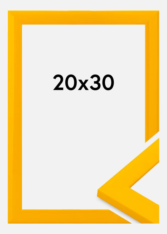 Jämtlands Ramfabrik Fotolijst Dorset Acrylglas Goud 20x30 cm