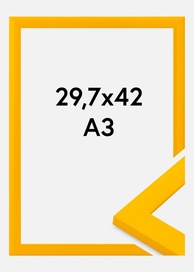 Jämtlands Ramfabrik Fotolijst Dorset Acrylglas Goud 29,7x42 cm (A3)