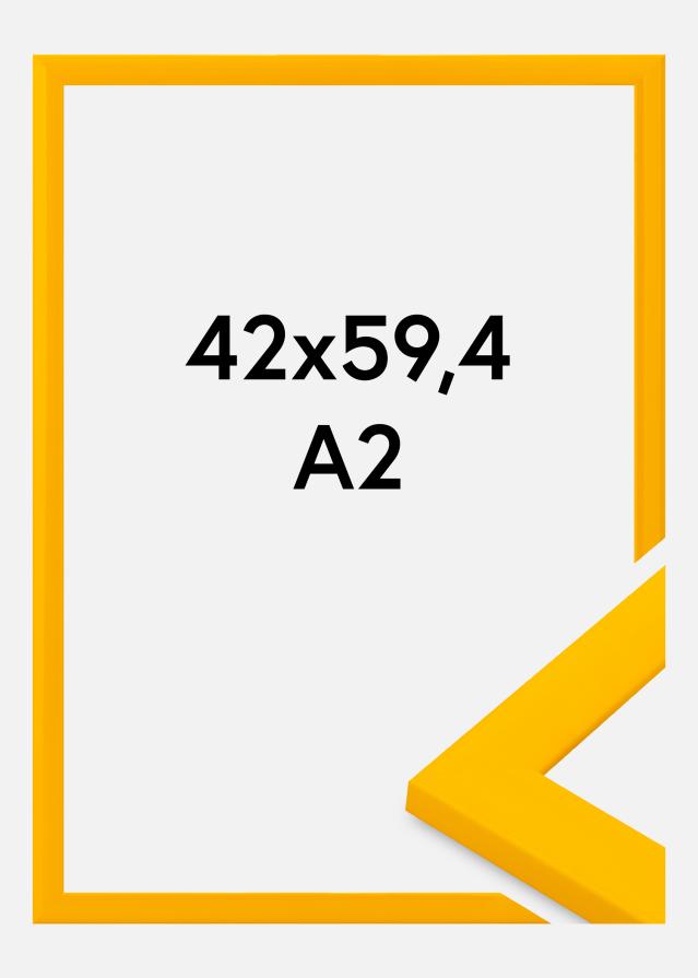 Jämtlands Ramfabrik Fotolijst Dorset Acrylglas Goud 42x59,4 cm (A2)