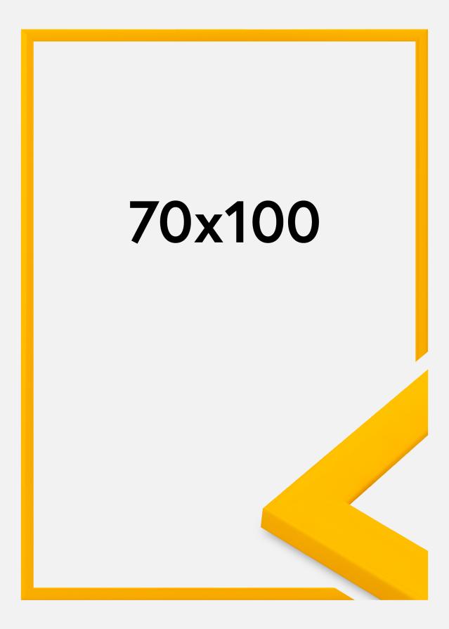 Jämtlands Ramfabrik Fotolijst Dorset Acrylglas Goud 70x100 cm