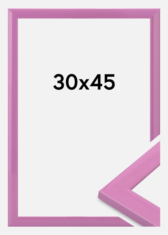 Jämtlands Ramfabrik Fotolijst Dorset Acrylglas Roze 30x45 cm