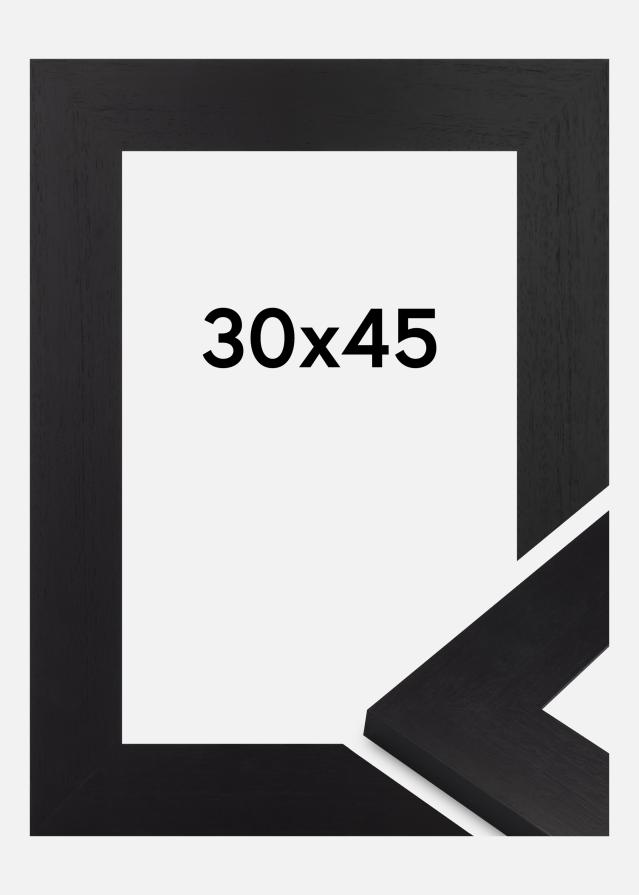 Jämtlands Ramfabrik Fotolijst Dover Acrylglas Zwart 30x45 cm