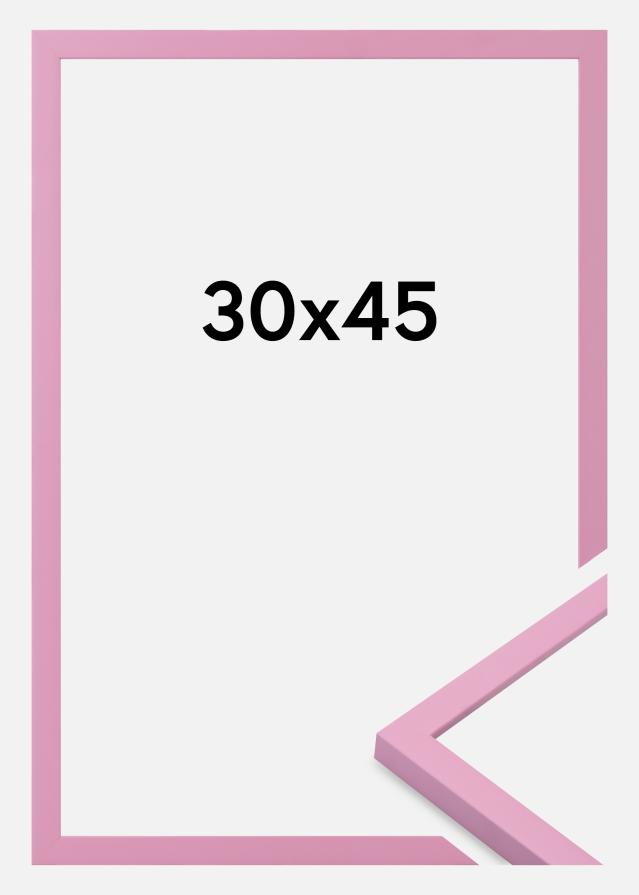 Jämtlands Ramfabrik Fotolijst Kent Acrylglas Roze 30x45 cm