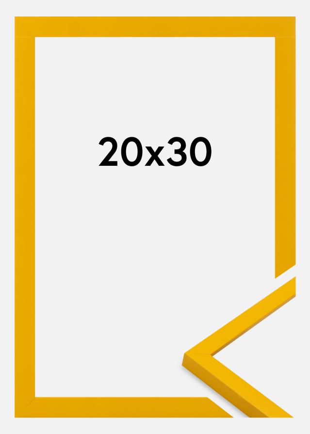 Jämtlands Ramfabrik Fotolijst Kent Acrylglas Goud 20x30 cm