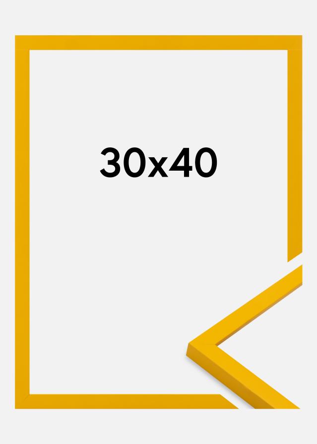 Jämtlands Ramfabrik Fotolijst Kent Acrylglas Goud 30x40 cm