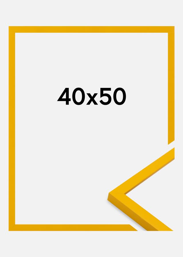 Jämtlands Ramfabrik Fotolijst Kent Acrylglas Goud 40x50 cm