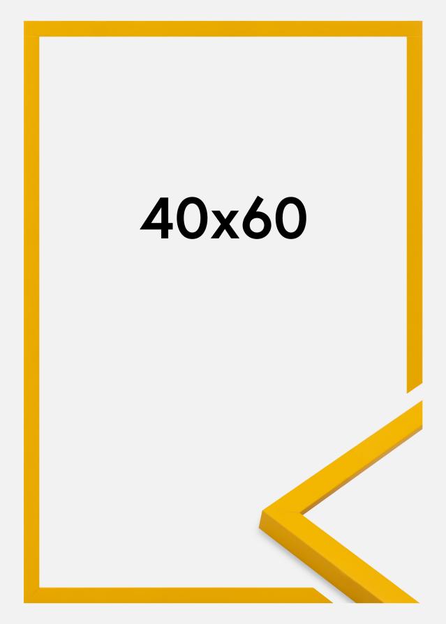 Jämtlands Ramfabrik Fotolijst Kent Acrylglas Goud 40x60 cm