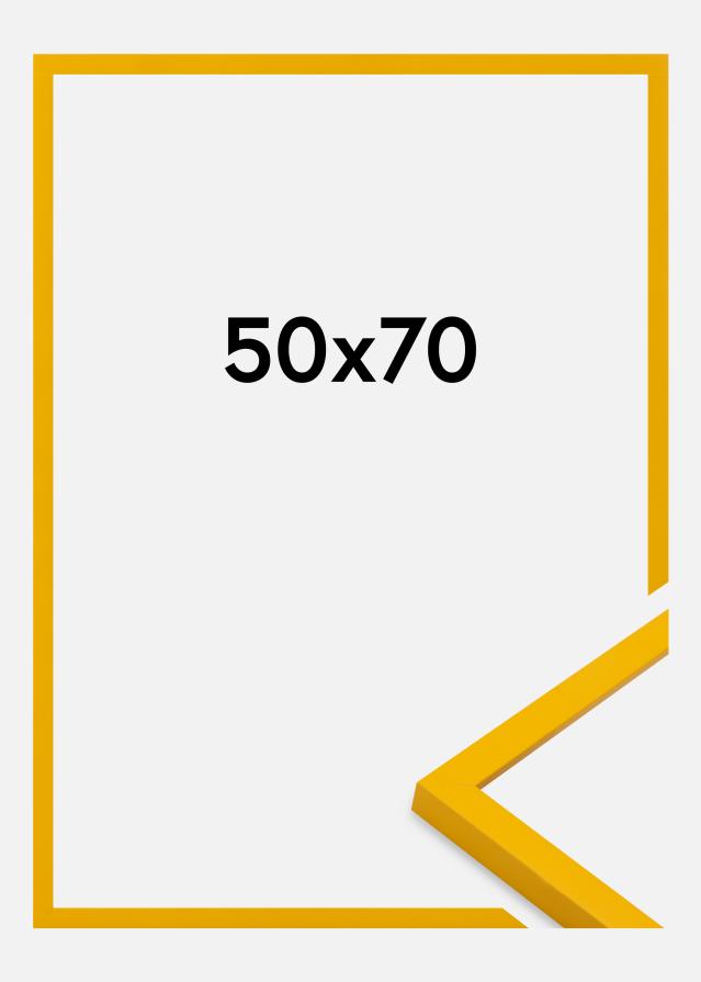 Jämtlands Ramfabrik Fotolijst Kent Acrylglas Goud 50x70 cm