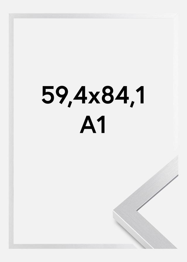 BGA Fotolijst Selection Acrylglas Zilver 59,4x84,1 cm (A1)