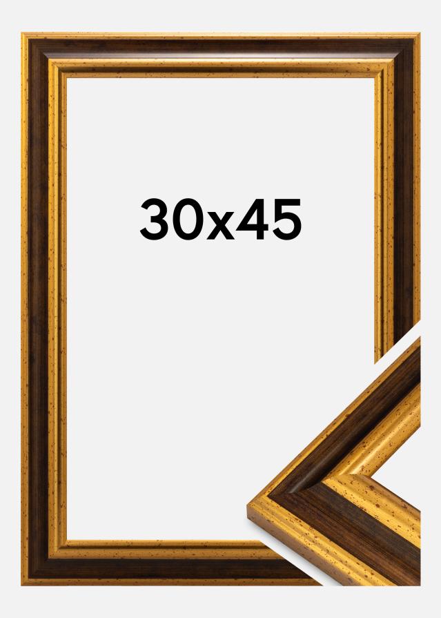 Jämtlands Ramfabrik Fotolijst Aberystwyth Acrylglas Goud 30x45 cm