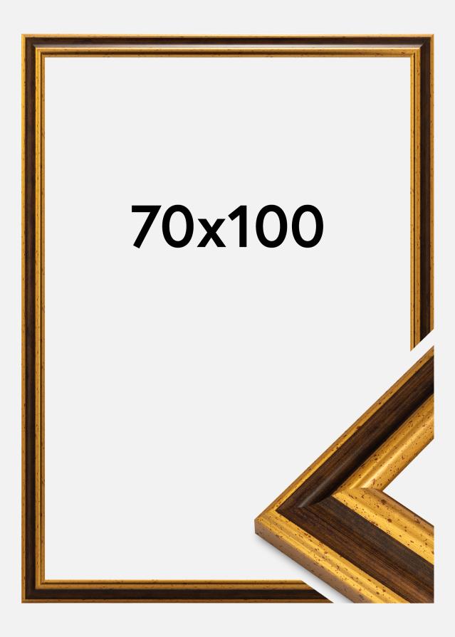 Jämtlands Ramfabrik Fotolijst Aberystwyth Acrylglas Goud 70x100 cm