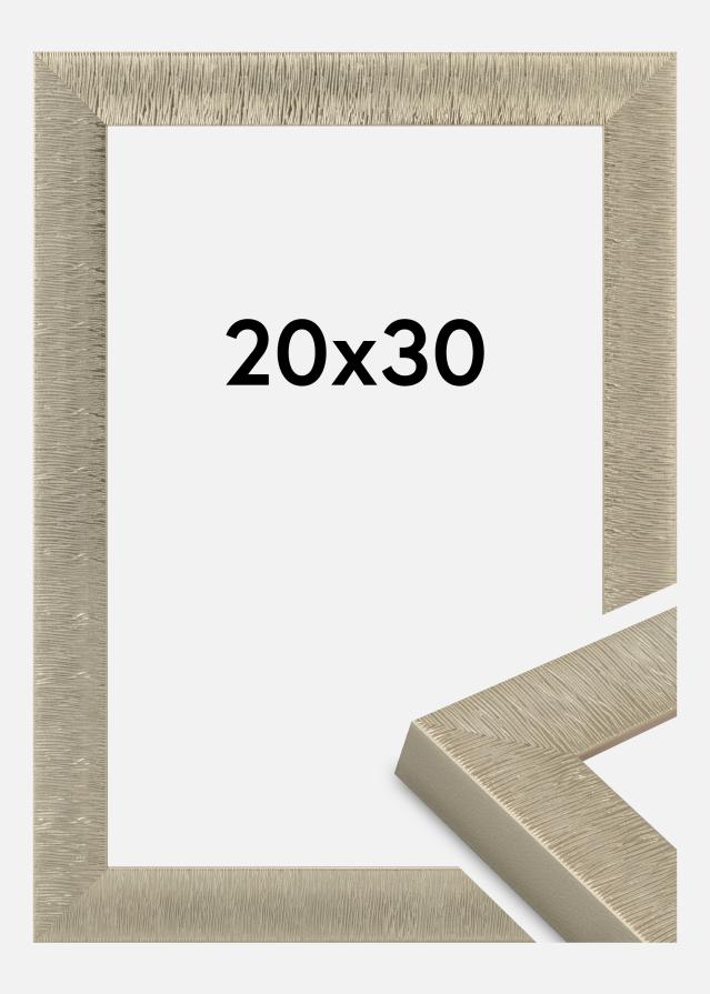 Jämtlands Ramfabrik Fotolijst Linea Acrylglas Champagne 20x30 cm