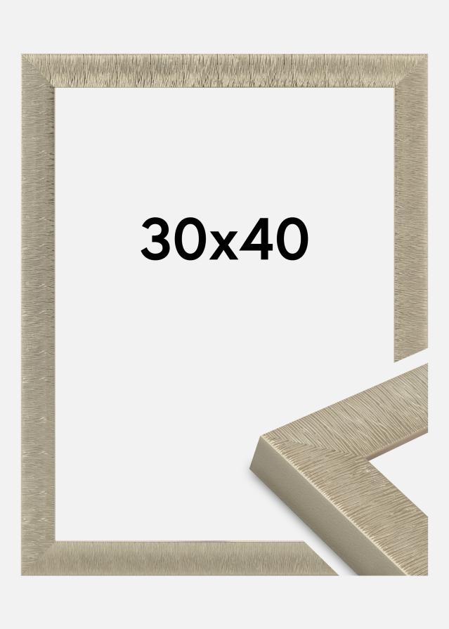 Jämtlands Ramfabrik Fotolijst Linea Acrylglas Champagne 30x40 cm