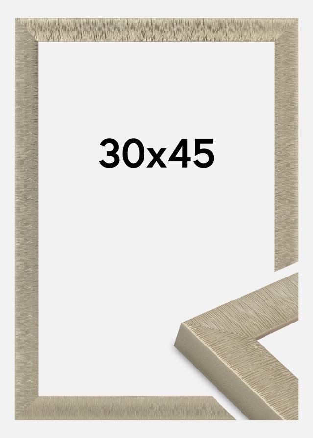 Jämtlands Ramfabrik Fotolijst Linea Acrylglas Champagne 30x45 cm