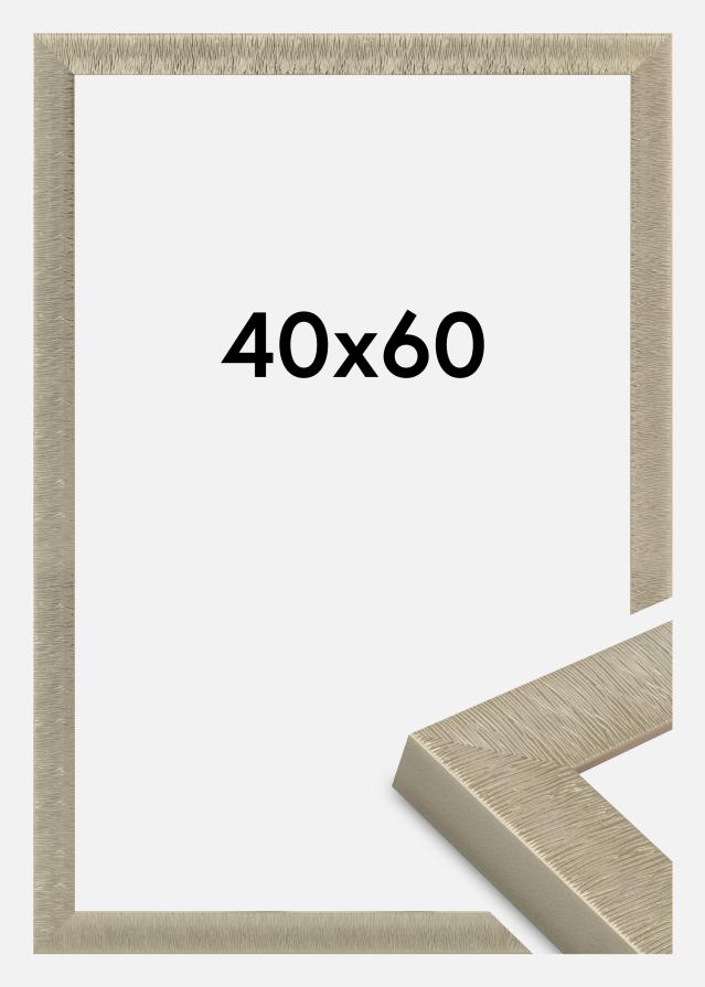 Jämtlands Ramfabrik Fotolijst Linea Acrylglas Champagne 40x60 cm