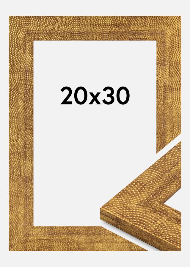 Jämtlands Ramfabrik Fotolijst Linea Acrylglas Gold 20x30 cm
