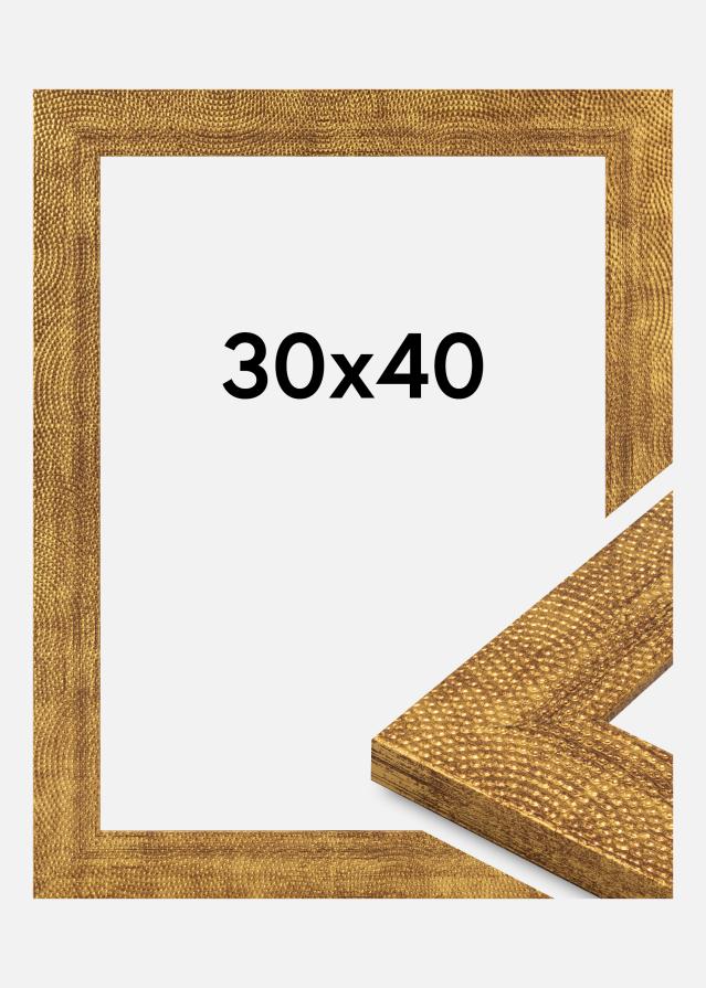 Jämtlands Ramfabrik Fotolijst Linea Acrylglas Gold 30x40 cm