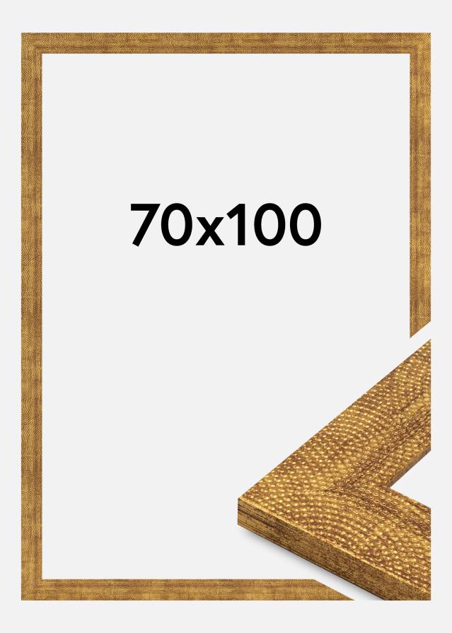 Jämtlands Ramfabrik Fotolijst Linea Acrylglas Gold 70x100 cm