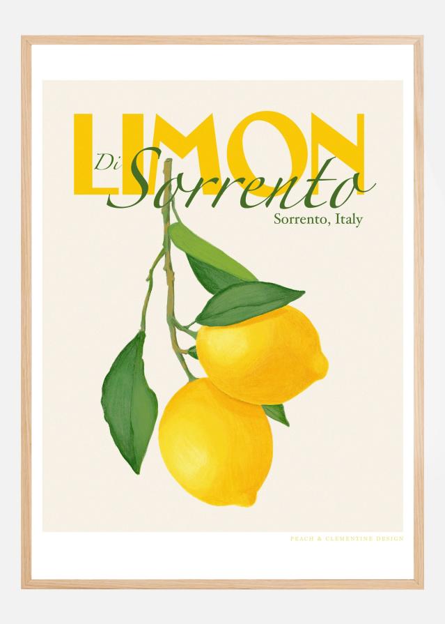 Bildverkstad Pandclimondisorrento Copy Poster