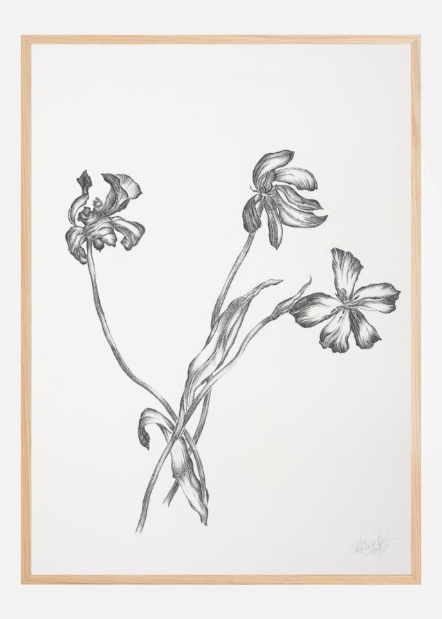 Bildverkstad Where Have All the Flowers Gone VI Poster