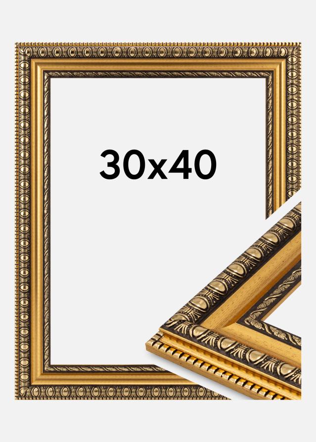Jämtlands Ramfabrik Fotolijst Ornato Acrylglas Gold 30x40 cm