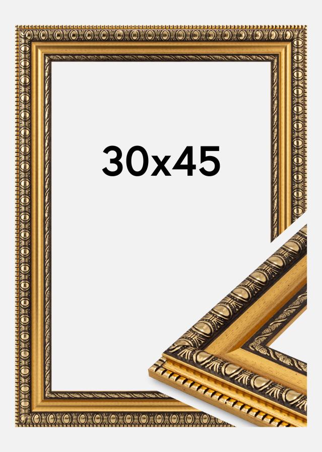 Jämtlands Ramfabrik Fotolijst Ornato Acrylglas Goud 30x45 cm