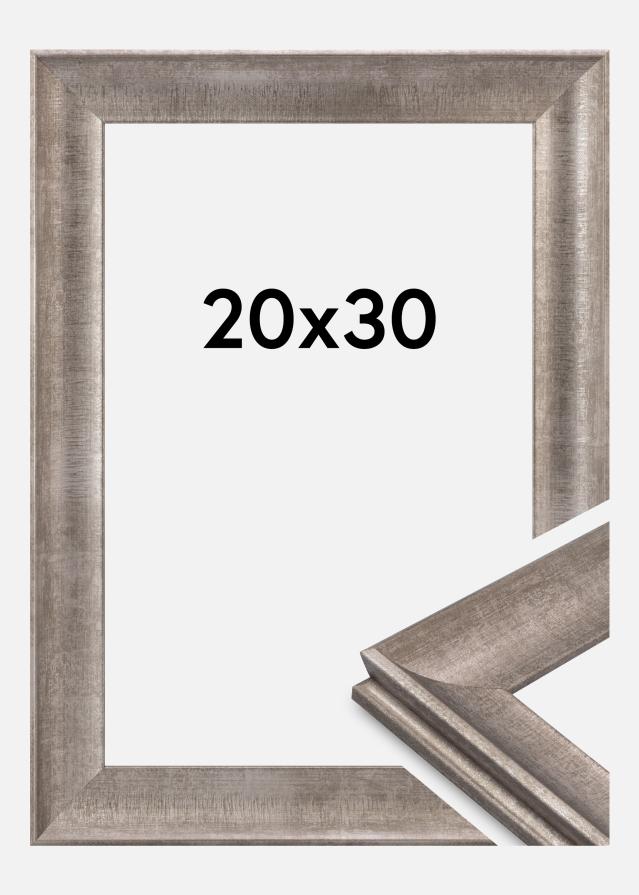 Jämtlands Ramfabrik Fotolijst Conca Acrylglas Silver 20x30 cm