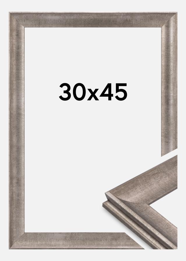 Jämtlands Ramfabrik Fotolijst Conca Acrylglas Zilver 30x45 cm