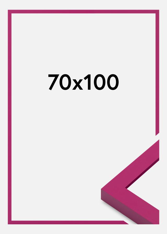 Jämtlands Ramfabrik Fotolijst Selection Acrylglas Bubblegum Pink 70x100 cm