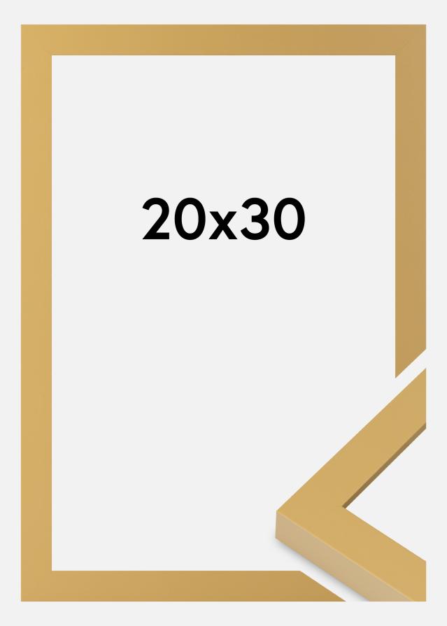 Jämtlands Ramfabrik Fotolijst Selection Acrylglas Corn Yellow 20x30 cm