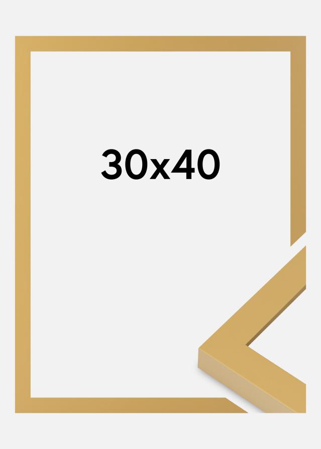 Jämtlands Ramfabrik Fotolijst Selection Acrylglas Corn Yellow 30x40 cm