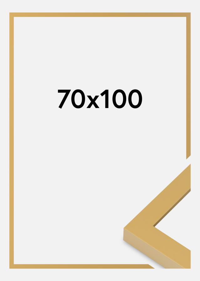 Jämtlands Ramfabrik Fotolijst Selection Acrylglas Corn Yellow 70x100 cm