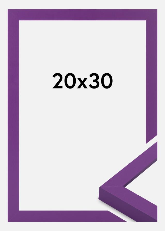 Jämtlands Ramfabrik Fotolijst Selection Acrylglas Deep Lilac 20x30 cm