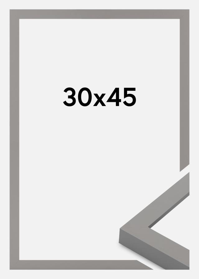 Jämtlands Ramfabrik Fotolijst Selection Acrylglas Grey 30x45 cm