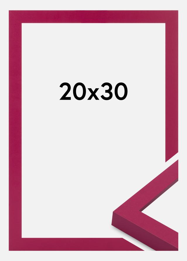 Jämtlands Ramfabrik Fotolijst Selection Acrylglas Hot Pink 20x30 cm