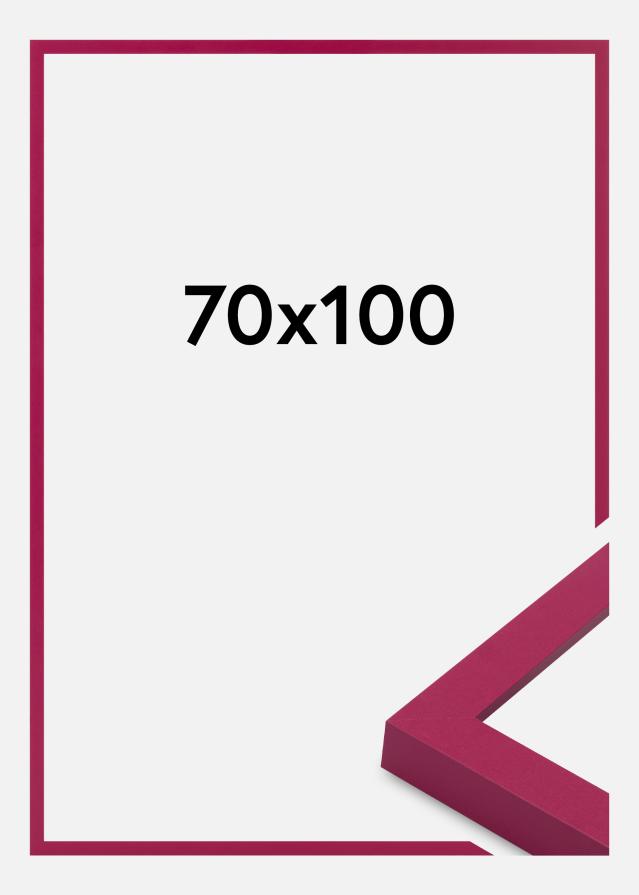 Jämtlands Ramfabrik Fotolijst Selection Acrylglas Hot Pink 70x100 cm