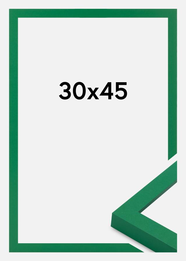 Jämtlands Ramfabrik Fotolijst Selection Acrylglas Light Green 30x45 cm