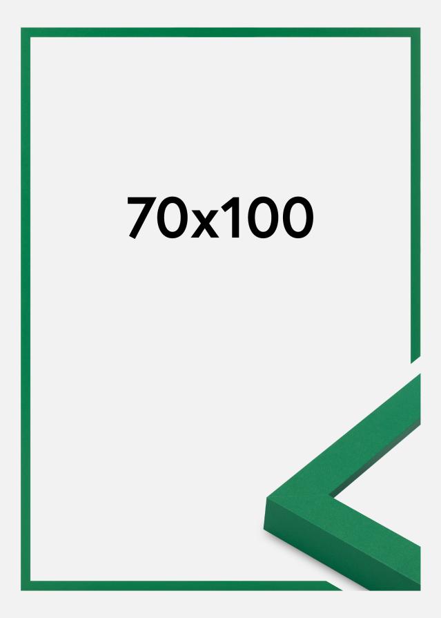 Jämtlands Ramfabrik Fotolijst Selection Acrylglas Light Green 70x100 cm