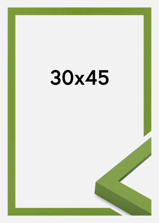 Jämtlands Ramfabrik Fotolijst Selection Acrylglas Lime Green 30x45 cm