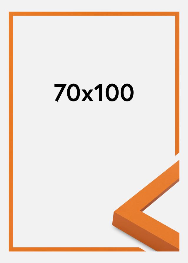 Jämtlands Ramfabrik Fotolijst Selection Acrylglas Orange 70x100 cm