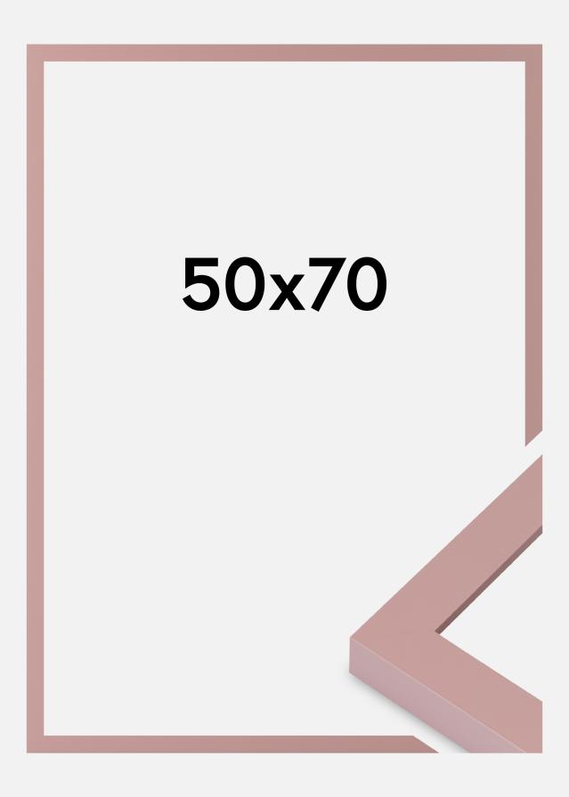 Jämtlands Ramfabrik Fotolijst Selection Acrylglas Peach 50x70 cm