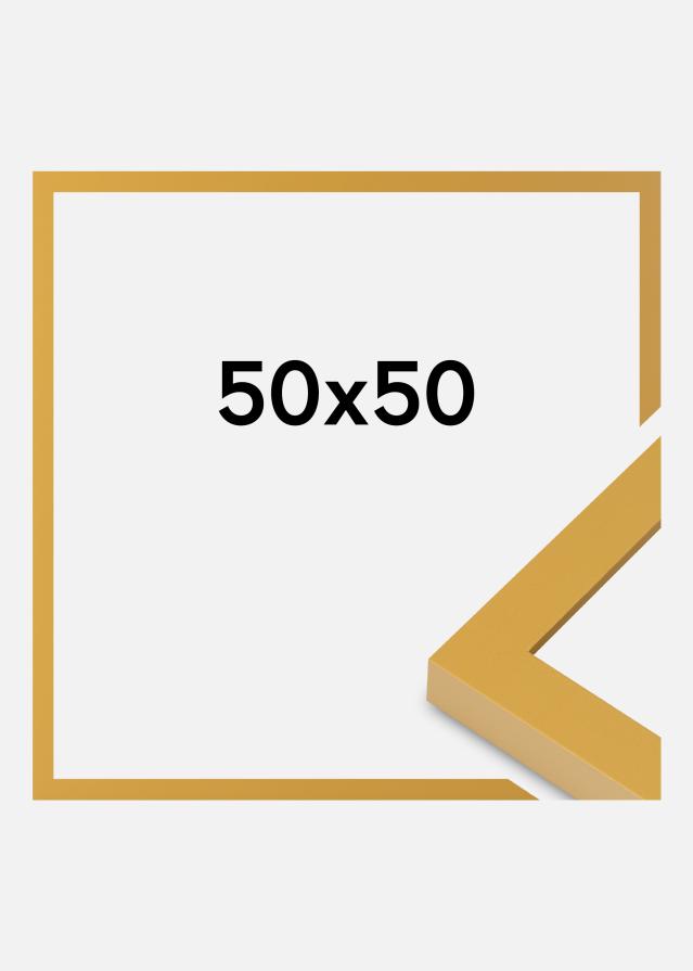 Jämtlands Ramfabrik Fotolijst Selection Acrylglas Pineapple Yellow 50x50 cm