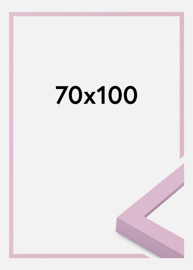 Jämtlands Ramfabrik Fotolijst Selection Acrylglas Pink 70x100 cm