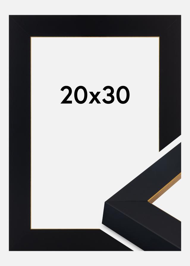 Jämtlands Ramfabrik Fotolijst Sussex Acrylglas Zwart/Goud 20x30 cm