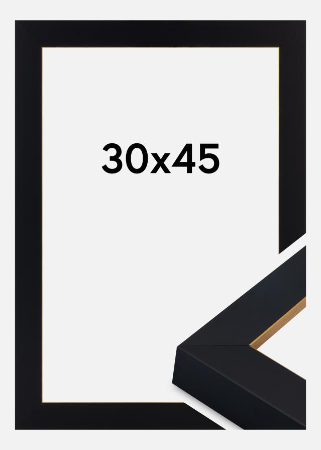 Jämtlands Ramfabrik Fotolijst Sussex Acrylglas Zwart/Goud 30x45 cm
