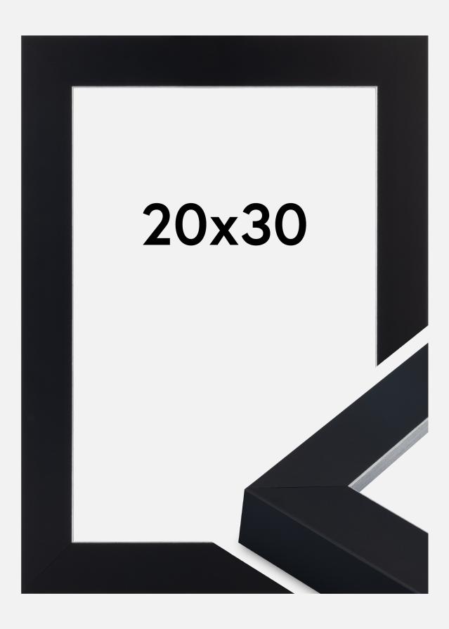 Jämtlands Ramfabrik Fotolijst Sussex Acrylglas Zwart/Zilver 20x30 cm
