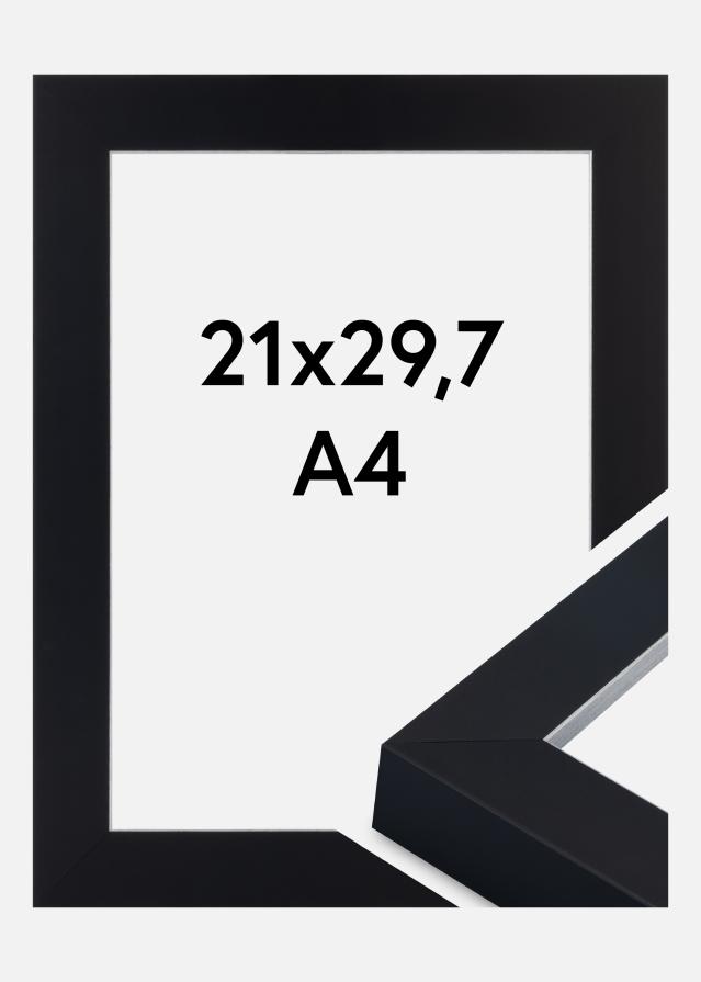 Jämtlands Ramfabrik Fotolijst Sussex Acrylglas Zwart/Zilver 21x29,7 cm (A4)