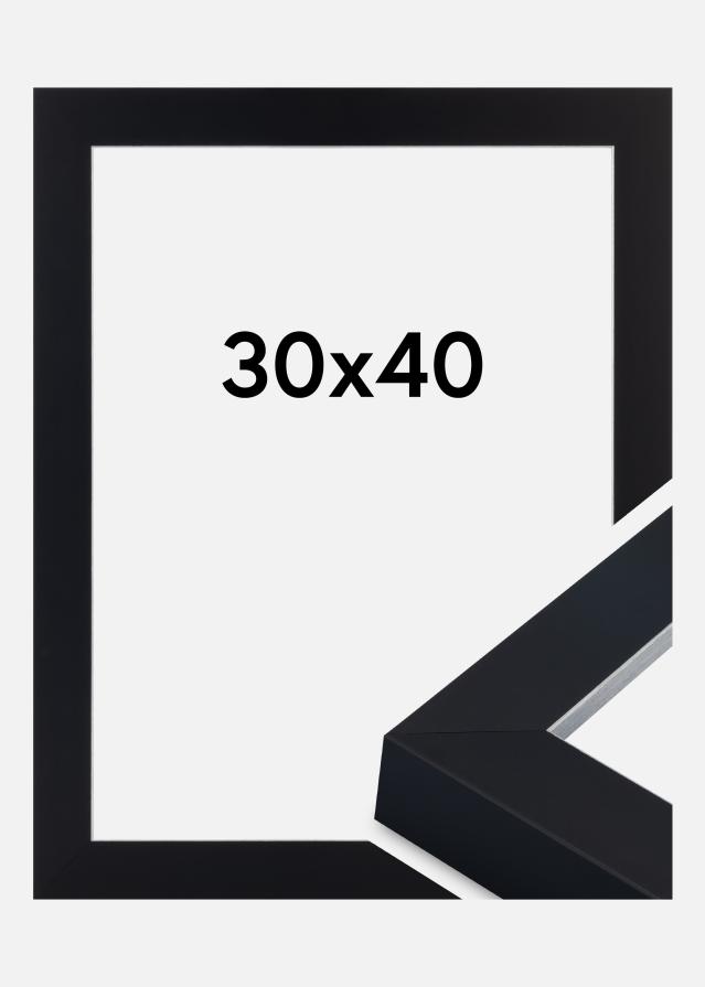 Jämtlands Ramfabrik Fotolijst Sussex Acrylglas Zwart/Zilver 30x40 cm