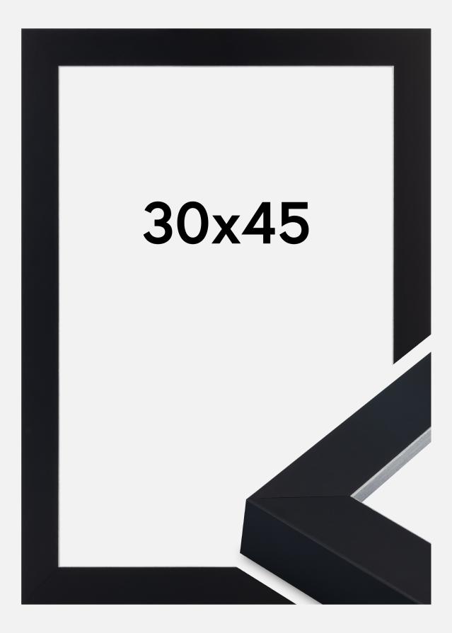 Jämtlands Ramfabrik Fotolijst Sussex Acrylglas Zwart/Zilver 30x45 cm
