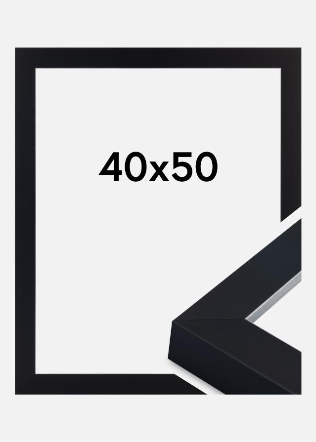 Jämtlands Ramfabrik Fotolijst Sussex Acrylglas Zwart/Zilver 40x50 cm